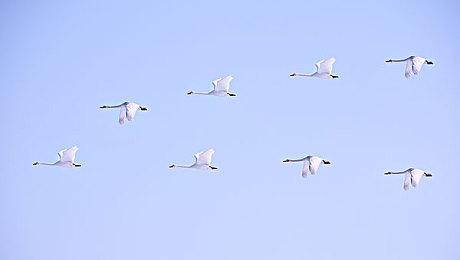 凯瑟琳·欧哈拉宣布参演《最后的生还者》第二季